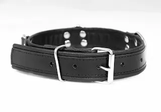 Kožený obojek Slave4master Basic Collar