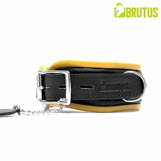 Brutus Leather Collar Black/Yellew, kožený obojek s měkkým polstrováním a zamykací přezkou
