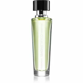 Magnetifico Pheromone Seduction pro muže 30ml
