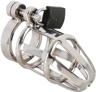 Chastity Cage