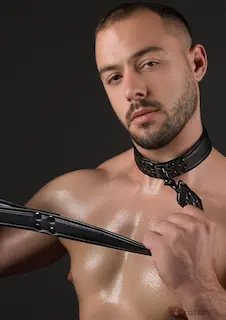 BDSM obojek s vodítkem Vantage 8