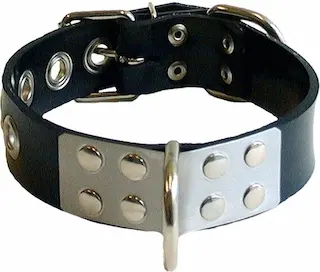 Mister B Rubber Slave Collar, černý obojek ze silné gumy 59 x 3,5 cm
