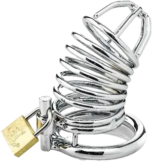 ZENN Ringed Cock Cage With 3 Cockrings