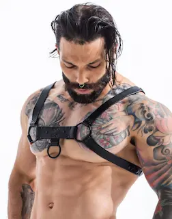 H4RNESS by C4M Party Black Harness