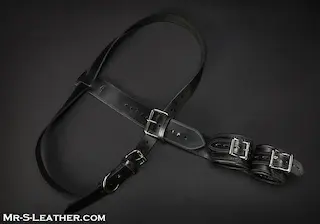 Mr. S Leather Shoulder to Wrist Restraints, kožená pouta s upevněním kolem ramen