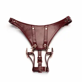 Postroj Liebe Seele Wine Red for Forced Orgasm vínový