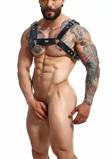 Cross Chain Harness