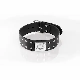 Whips Primal Bond Double Studded Collar Large Black, kožený obojek pro obvod 38–47 cm