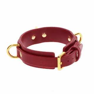 Taboom D-Ring Collar Deluxe