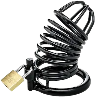 ZENN Black Cock Cage With 3 Cockrings