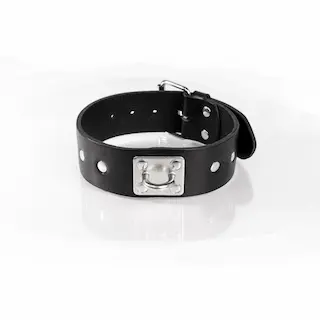Whips Primal Bond Studded Collar Small Black, kožený obojek pro obvod 31–40 cm