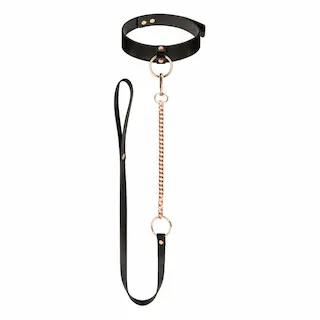 Rosy Gold – Collar with Leash – Black