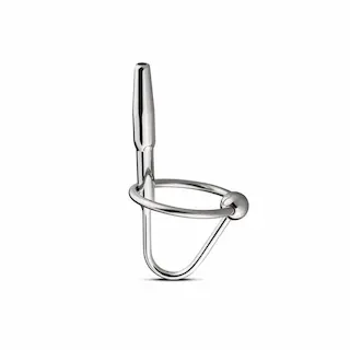 Prince’s Wand Dilator Met Eikel Ring