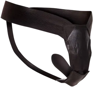 Remote Control Fantasy Panty