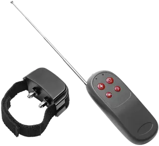 Cock Shock – Electro Stimulation Cockring with Remote Control