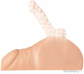 PDX Plus Perfektní jízda Světlý