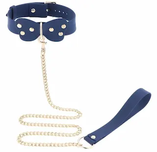 Taboom Silicone Collar and Leash