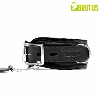 Brutus Leather Collar Black/Black, kožený obojek s měkkým polstrováním a zamykací přezkou