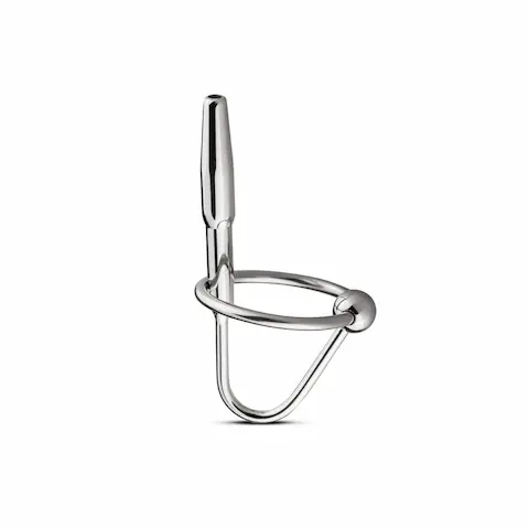 Prince’s Wand Dilator Met Eikel Ring