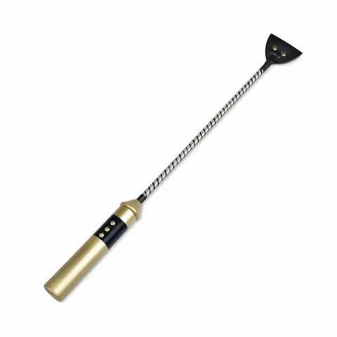 Elektrický bič – Passionate Electric Whip