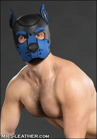 Psí maska Mr. S Leather Neoprene K9 Hood modrá (Cobalt)