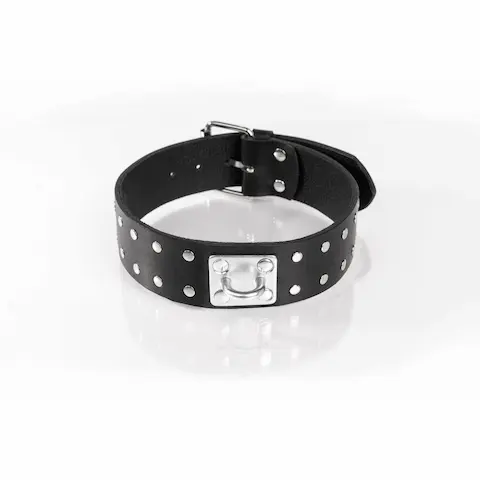 Whips Primal Bond Double Studded Collar Large Black, kožený obojek pro obvod 38–47 cm