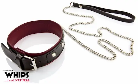 WHIPS Leather Collar with Leash for Her, obojek s odepínacím vodítkem