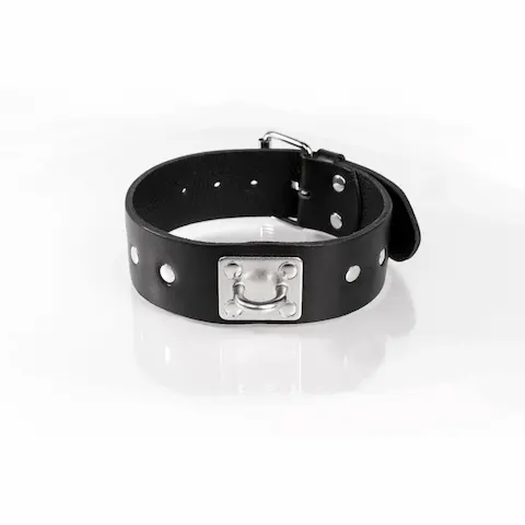Whips Primal Bond Studded Collar Large Black, kožený obojek pro obvod 38–47 cm