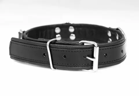 Kožený obojek Slave4master Basic Collar