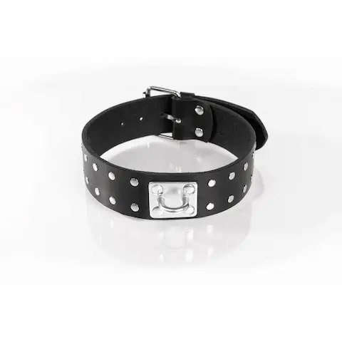 Whips Primal Bond Double Studded Collar Small Black, kožený obojek pro obvod 31–40 cm