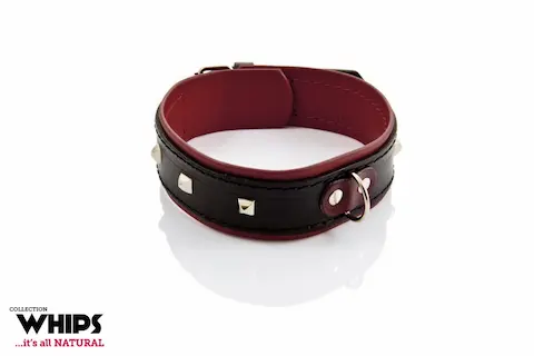 WHIPS Leather Collar for Her, černý obojek s červeným polstrováním