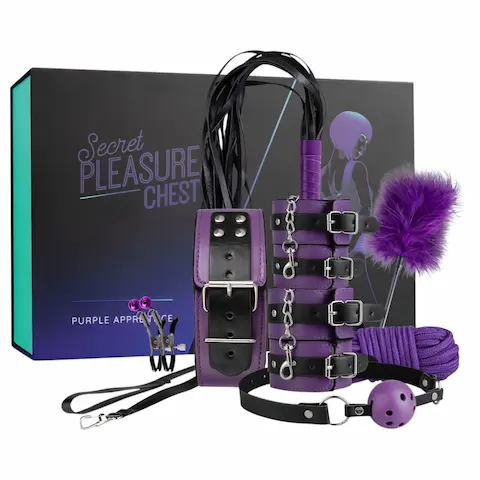 Secret Pleasure Chest – pokročilá BDSM sada (14dílná)