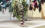 Recenze: Skleněné dildo Gildo č. 15 a umění vaginálního mapování. Proč byste měla dát šanci tvrdému sklu?
