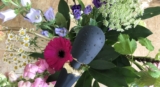 Recenze Zalo Kyro: Neslušně luxusní vibrátor, který vás donutí zahodit starou hůlku
